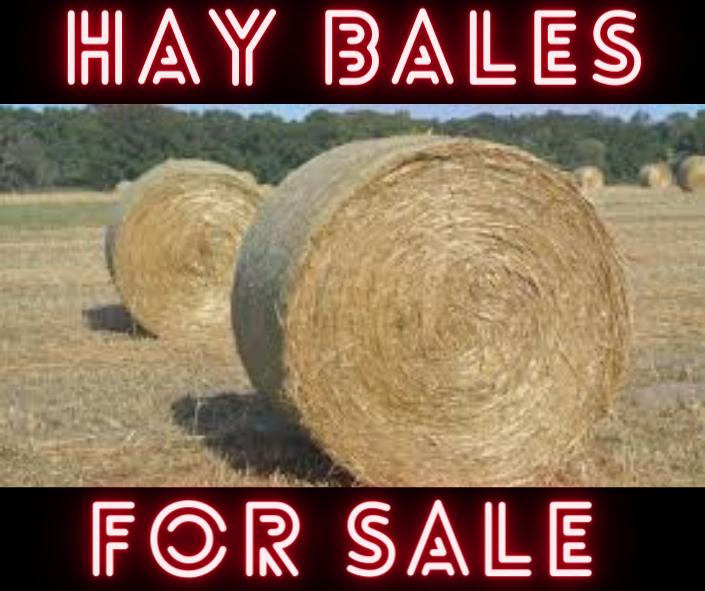 Hay Bales